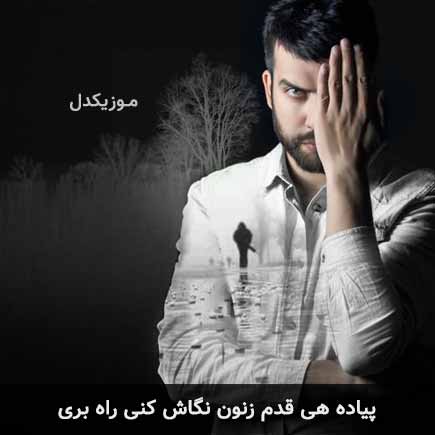 پیاده هی قدم زنون نگاش کنی راه بری